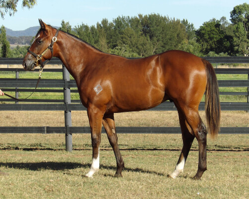 Lot 670: Pierro / Nariko