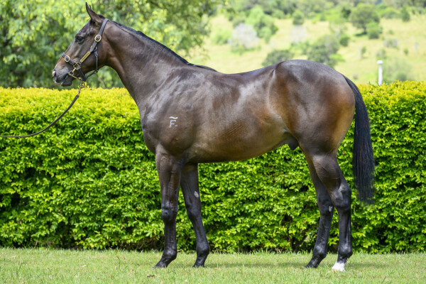 Lot 427: Better Than Ready / Unofficial