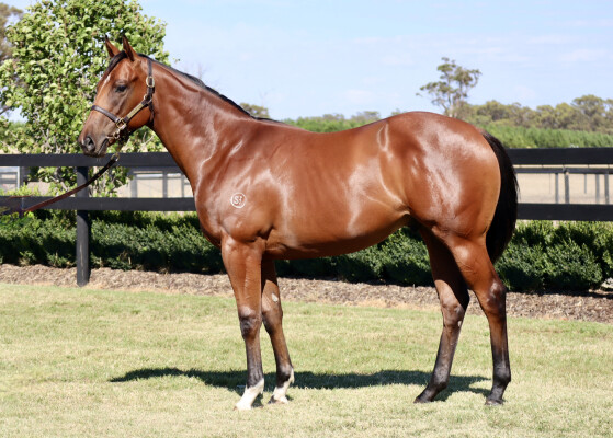 Lot 177: All Too Hard / Luberon