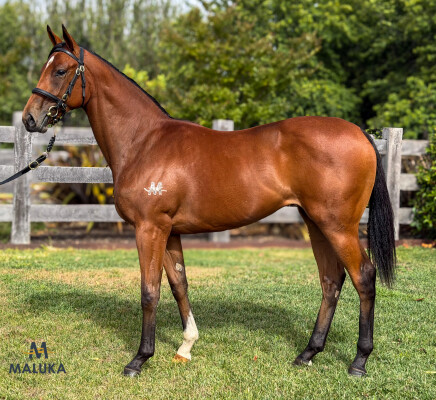 Lot 516: Alabama Express / Bhutan