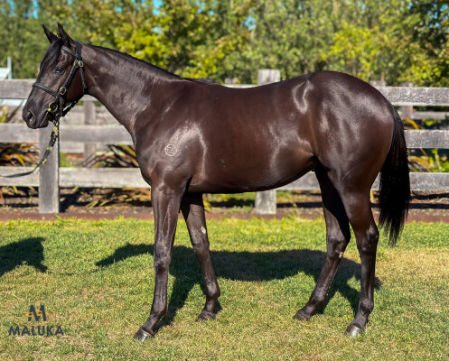 Lot 181: Shamus Award / Lynber
