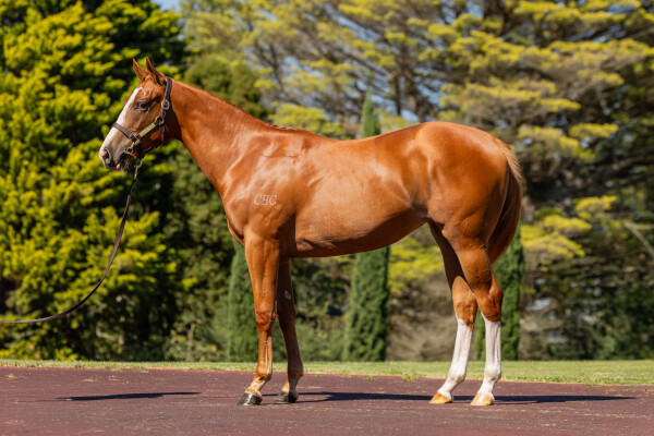 Lot 61: Russian Revolution / First Seal