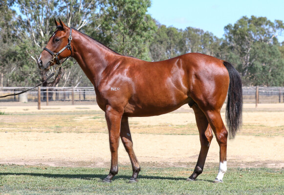 Lot 684: Profiteer / Pricing Power