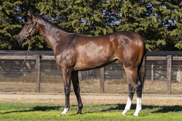 Lot 52: Ole Kirk / Fawcett