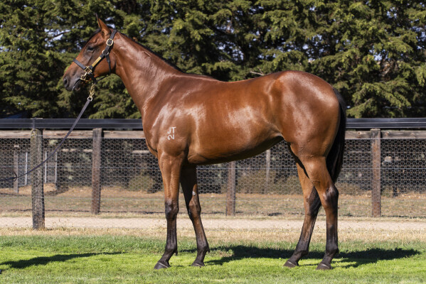 Lot 59: Written By / Final Song