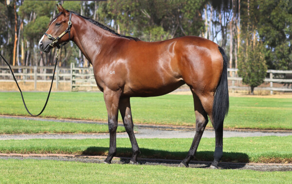 Lot 629: Hanseatic / Independent Woman