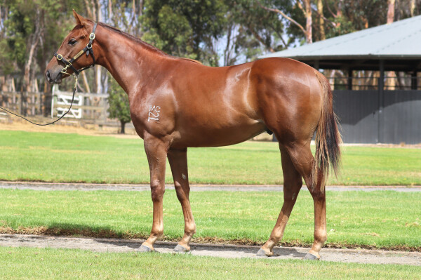 Lot 72: Capitalist / Fuhryk