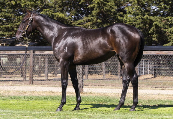 Lot 600: Nicconi / Fairy Wand