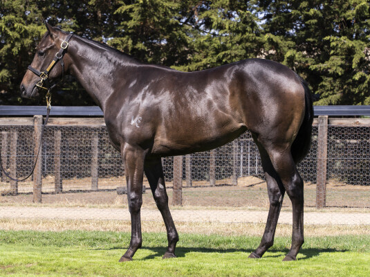 Lot 754: Trapeze Artist / Weekend Gossip