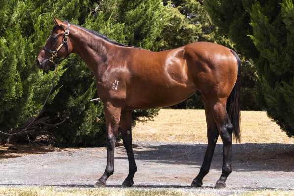 Lot 779: Jacquinot / Biathlon