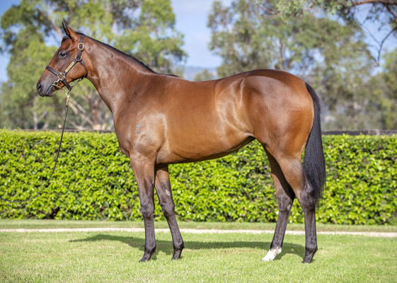 Lot 69: Wootton Bassett (GB) / Frankieta (GB)