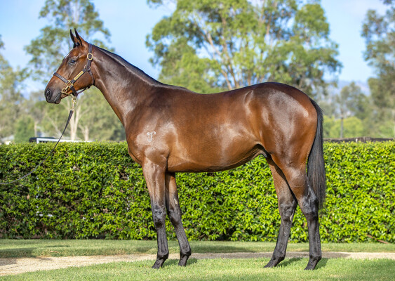 Lot 289: I Am Invincible / Raptures