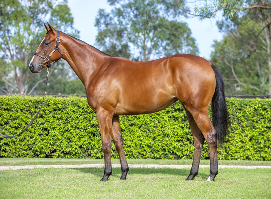 Lot 567: I Am Invincible / Constant Dreaming