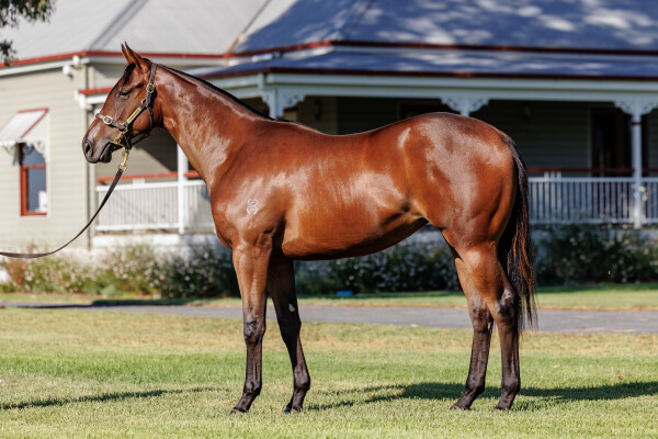 Lot 58: Zousain / Final Response