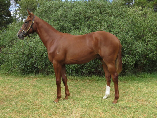 Lot 636: Rich Enuff / Jivochka