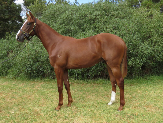 Lot 636: Rich Enuff / Jivochka