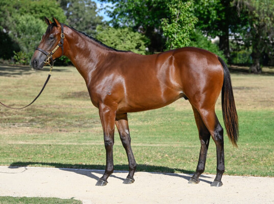 Lot 283: Stay Inside / Quick Verse