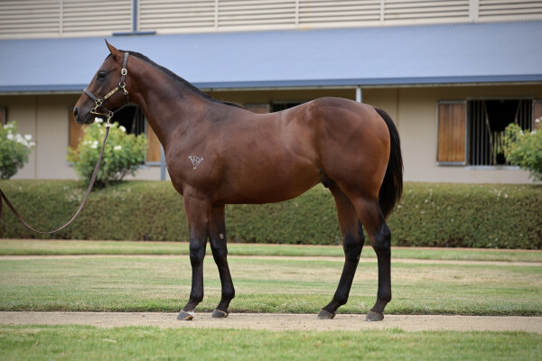 Lot 134: Dirty Work / Jemss