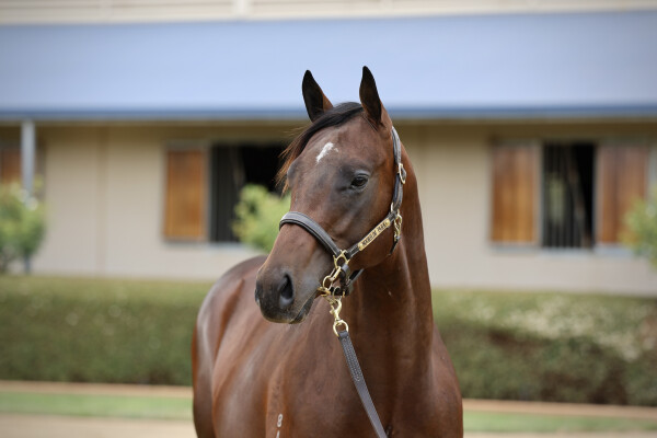 Lot 134: Dirty Work / Jemss