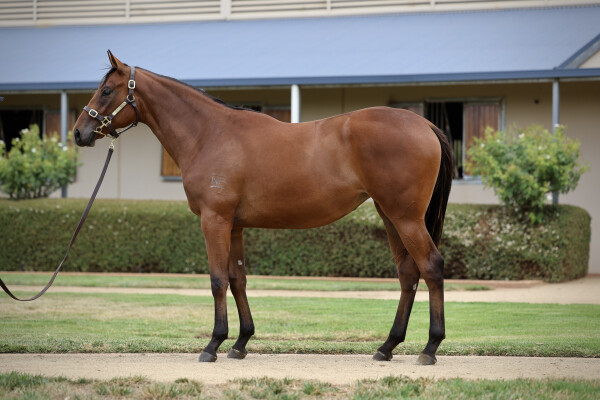 Lot 577: Russian Revolution / Crystalised (NZ)