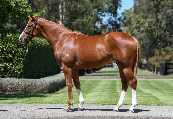 Lot 480: St Mark's Basilica (FR) / Archangel