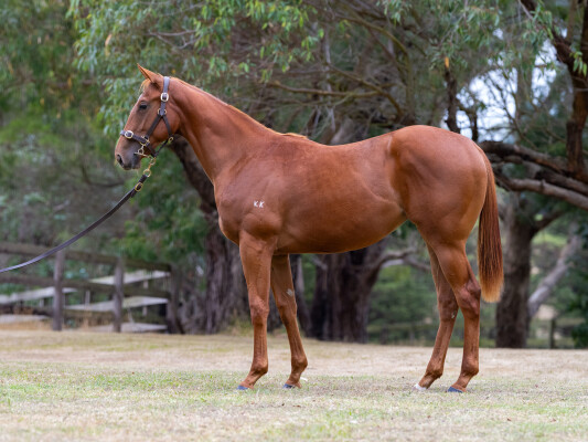 Lot 666: Rich Enuff / Miss Twin Peaks