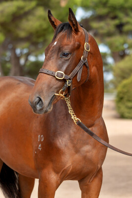 Lot 47: Bivouac / Eyes of Love (NZ)