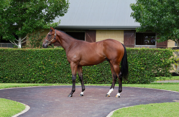 Lot 470: Hitotsu / Angel of Mercy