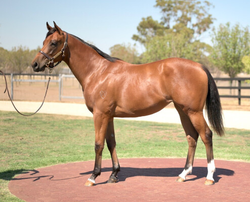 Lot 46: Farnan / Excess Love