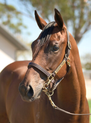 Lot 182: Stay Inside / Ma Can Do It (USA)