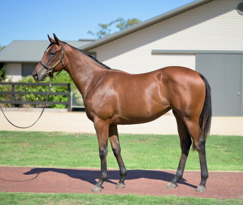 Lot 182: Stay Inside / Ma Can Do It (USA)