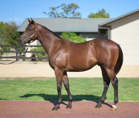 Lot 201: Home Affairs / Mintha