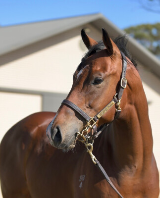 Lot 357: Portland Sky / Sorpesee