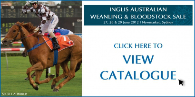 Australian Weanling & Bloodstock Sale