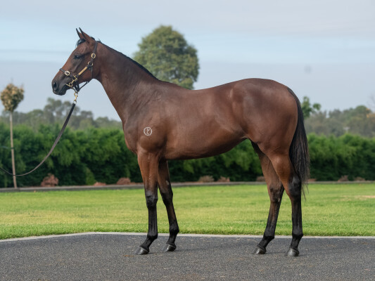 Lot 575: Alabama Express / Crystal Dynasty