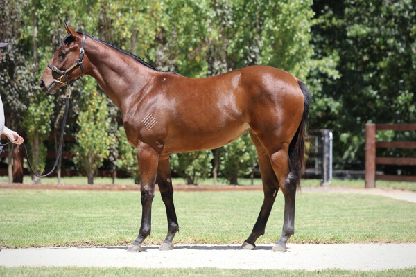 Lot 138: Pierro / Just One Moment