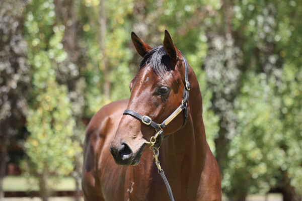 Lot 138: Pierro / Just One Moment