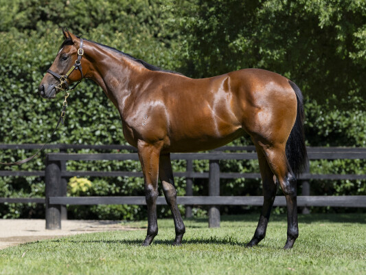 Lot 88: Stay Inside / Great News