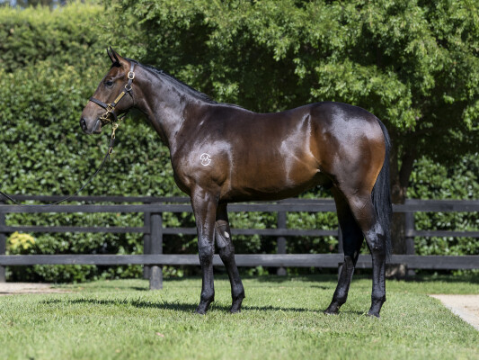Lot 154: Written Tycoon / La Paris