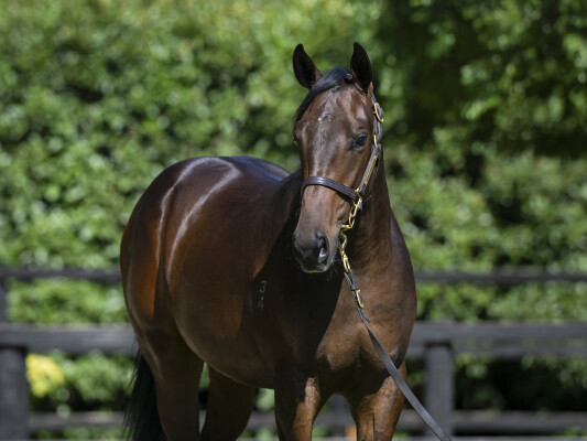 Lot 154: Written Tycoon / La Paris