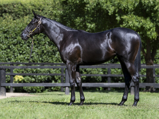 Lot 738: Dirty Work / Testa the Water