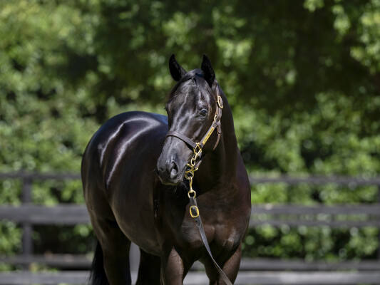 Lot 738: Dirty Work / Testa the Water