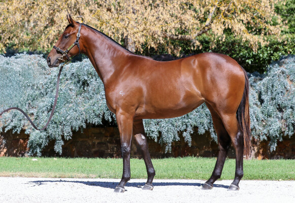 Lot 399: Overshare / The Source