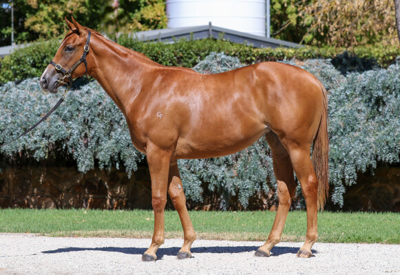 Lot 418: Written By / Tune Doubt