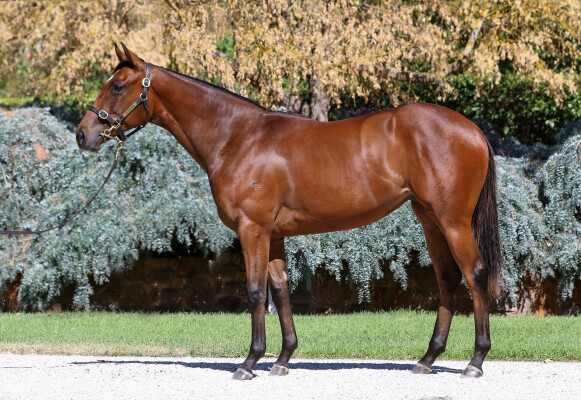 Lot 419: Kermadec (NZ) / Turaath (GB)
