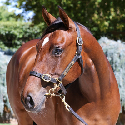 Lot 419: Kermadec (NZ) / Turaath (GB)