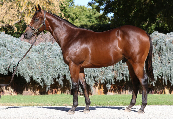 Lot 803: Ilovethiscity / Contamination