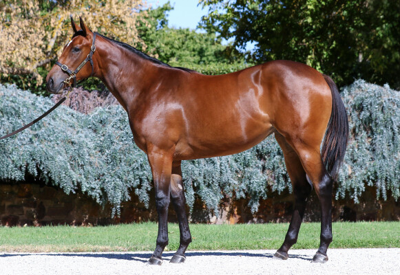 Lot 805: Doubtland / Crystal Lake