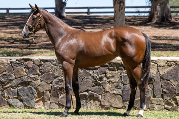 Lot 18: In the Congo / Do it La