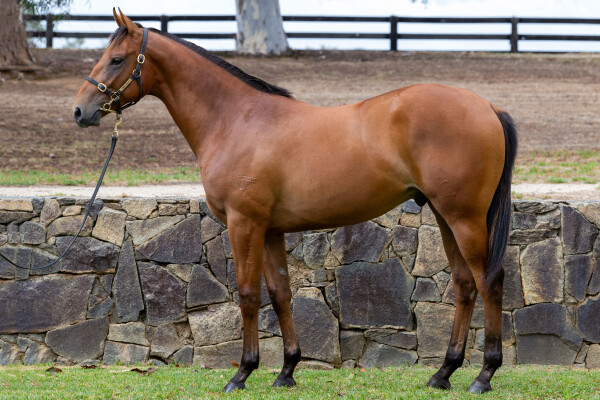 Lot 198: Farnan / Mine Two